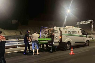 Alanya’da motosiklet bariyerlere çarptı, sürücü hayatını kaybetti