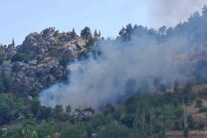 Alanya’da zirai alanda çıkan yangın söndürüldü