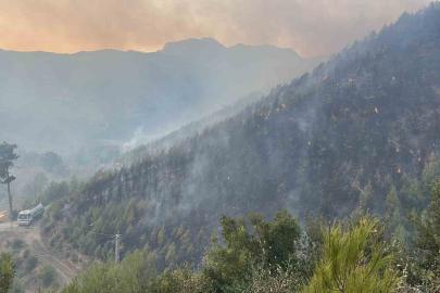 Alanya’daki yangına 95 araç ve 320 personelle müdehale ediliyor