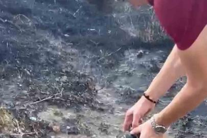 Alevlerin arasından kurtardıkları kaplumbağayı serinlettiler