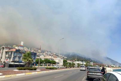 Altınoluk’taki orman yangınıyla ilgili Balıkesir Valisinden açıklama
