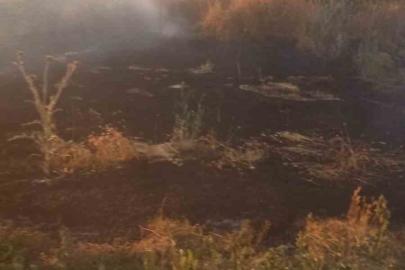 Anız yangını tarım arazileri ve ormanlık alana sıçramadan söndürüldü