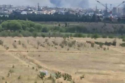 Ankara’daki ot yangını kontrol altına alındı