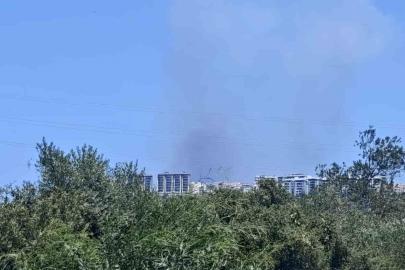Antalya’da ormanlık alanda yangın