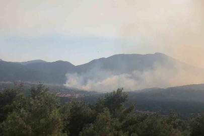 Antalya’daki orman yangınına müdahale sürüyor