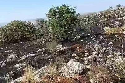 Araban’da fıstıklık ve otluk alanda yangın