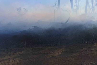 Araç yangını ormanlık alana sıçradı, ekipler alevleri büyümeden söndürdü