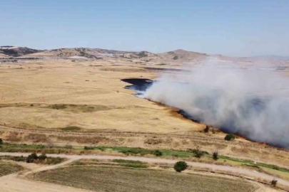 Arazi yangını etrafı küle çevirdi
