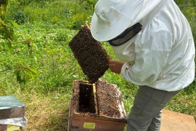 Artvin’de bal hasat sezonu öncesi üreticilerle buluşma