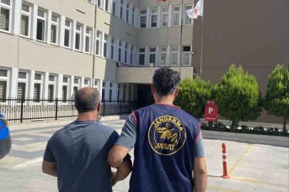 Aydın’da aranan 3 hükümlü jandarmadan kaçamadı