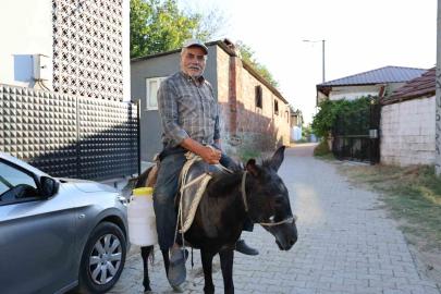 Ayhan amca yokluktan değil, sürücü belgesi olmadığından eşeği ile servis yapıyor