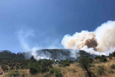 Balıkesir Kepsut’ta orman yangını