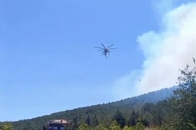 Balıkesir’de bir orman yangını daha