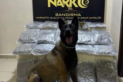 Bandırma’da gübre torbalarının altına gizlenen 11,2 kilo skunk ele geçirildi