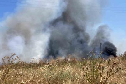 Bandırma’da otluk alanda çıkan yangın söndürüldü