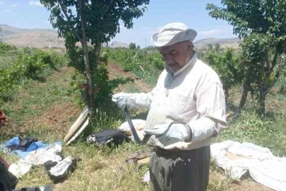 Batman’da bir vatandaş yakaladığı yılanı doğaya bıraktı
