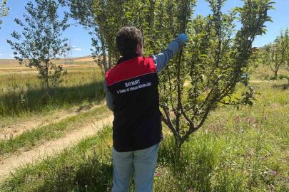 Bayburt’ta hasat öncesi pestisit denetimleri başladı