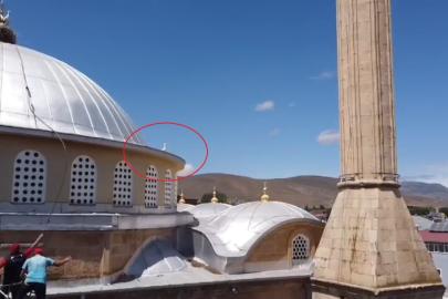 Bayburt’ta yuvasına dönemeyen yavru leylek ekipleri harekete geçirdi