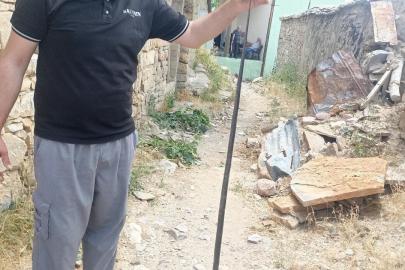 Baykan’da yılan paniği