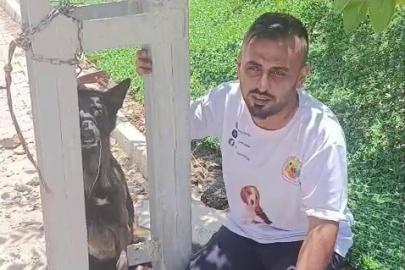 Belçika kurdunu zehirleyip direğe asarak telef ettiler