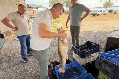 Beyşehir Gölü’nde avlanan balıklar tek tek kontrol edildi