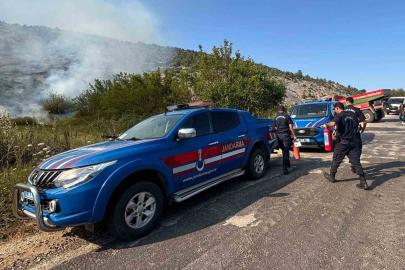 Biçme makinesinden çıkan kıvılcım ormanı yaktı, aracın operatörü gözaltına alındı