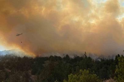 Bilecik’teki orman yangını 3 saatin ardından kontrol altına alındı