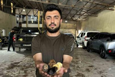 Bir belgesel izledi, hayatı değişti: Oto yıkama dükkanından tavukçuluk fabrikasına uzanan azim hikayesi
