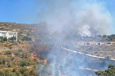 Bodrum’da makilik yangını