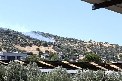 Bozdoğan’daki zirai alan yangını kontrol altına alındı