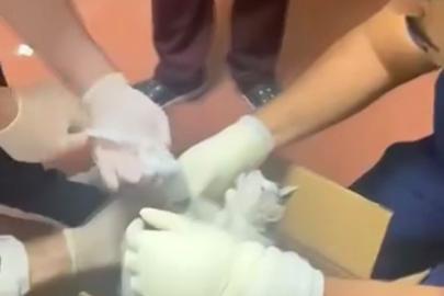 Bu kez hastaya değil, kediye müdahale