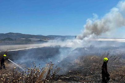 Burhaniye’de işletme bahçesindeki yangın itfaiye ekiplerince söndürüldü