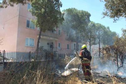 Burhaniye’de zeytinliğe sıçrayan ot yangını polis merkezinde korkuya neden oldu