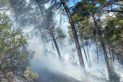 Bursa’daki orman yangını söndürüldü, soğutma çalışmaları sürüyor