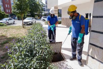 Büyükşehir vektörle mücadelede eğitim ve saha çalışmalarını sürdürüyor