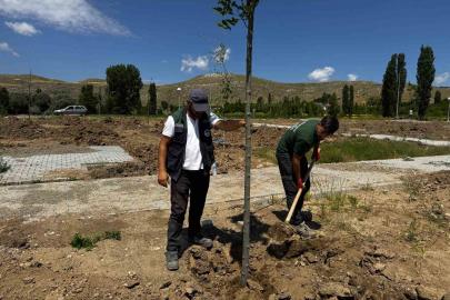 Büyükşehir’den Şahruh Köprüsü yanına dev etkinlik alanı