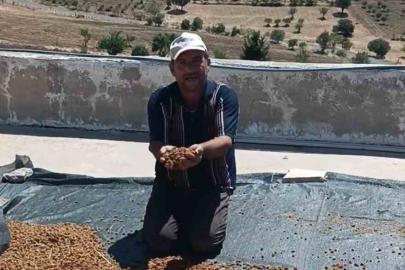 Çermik’te dutlar pazardaki yerini aldı