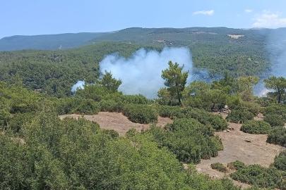Çine’deki yangın söndürüldü