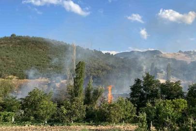 Çorum’daki orman yangını kontrol altına alındı