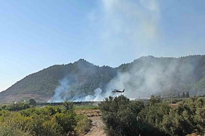 Dalaman’da tarım alanındaki yangın kısa sürede söndürüldü