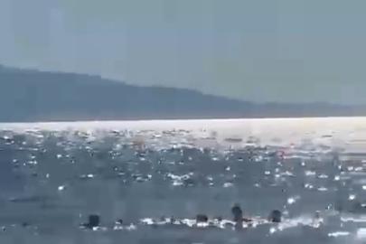 Denizde dubaların dışına çıkan baba ve iki kızı ölüm tehlikesi atlattı