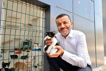 Denizli Büyükşehir’den can dostlarına şefkat eli