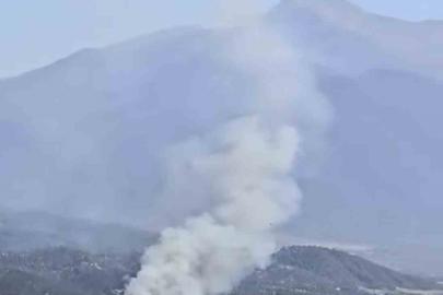 Denizli’de ormanlık alana yakın bölgede arazi yangını çıktı