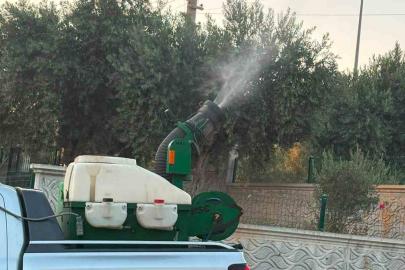 Didim’de halk sağlığı için ilaçlama seferberliği