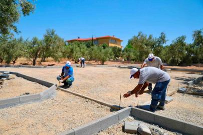 Didim’de Zeytin Park Projesi hayata geçirilecek