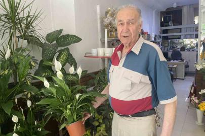 Direkt güneş ışığı çiçekler için zararlı