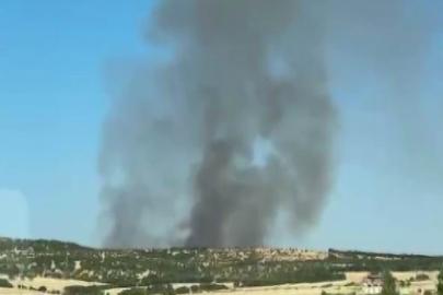 Diyarbakır’da ağaçlık alanda yangın