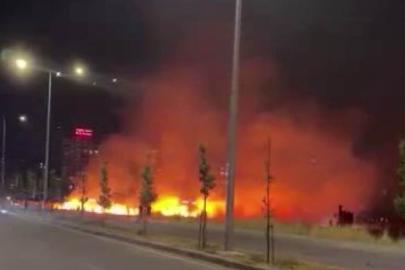 Diyarbakır’da geceyi gündüze çeviren yangın