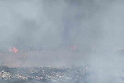 Diyarbakır’da otluk alanda korkutan yangın