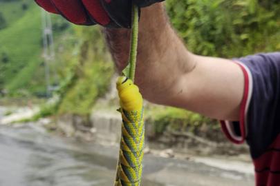 Doğu Karadeniz’in böceklerle imtihanı